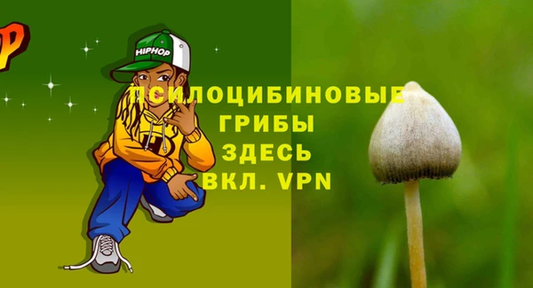 соль ск Бугульма